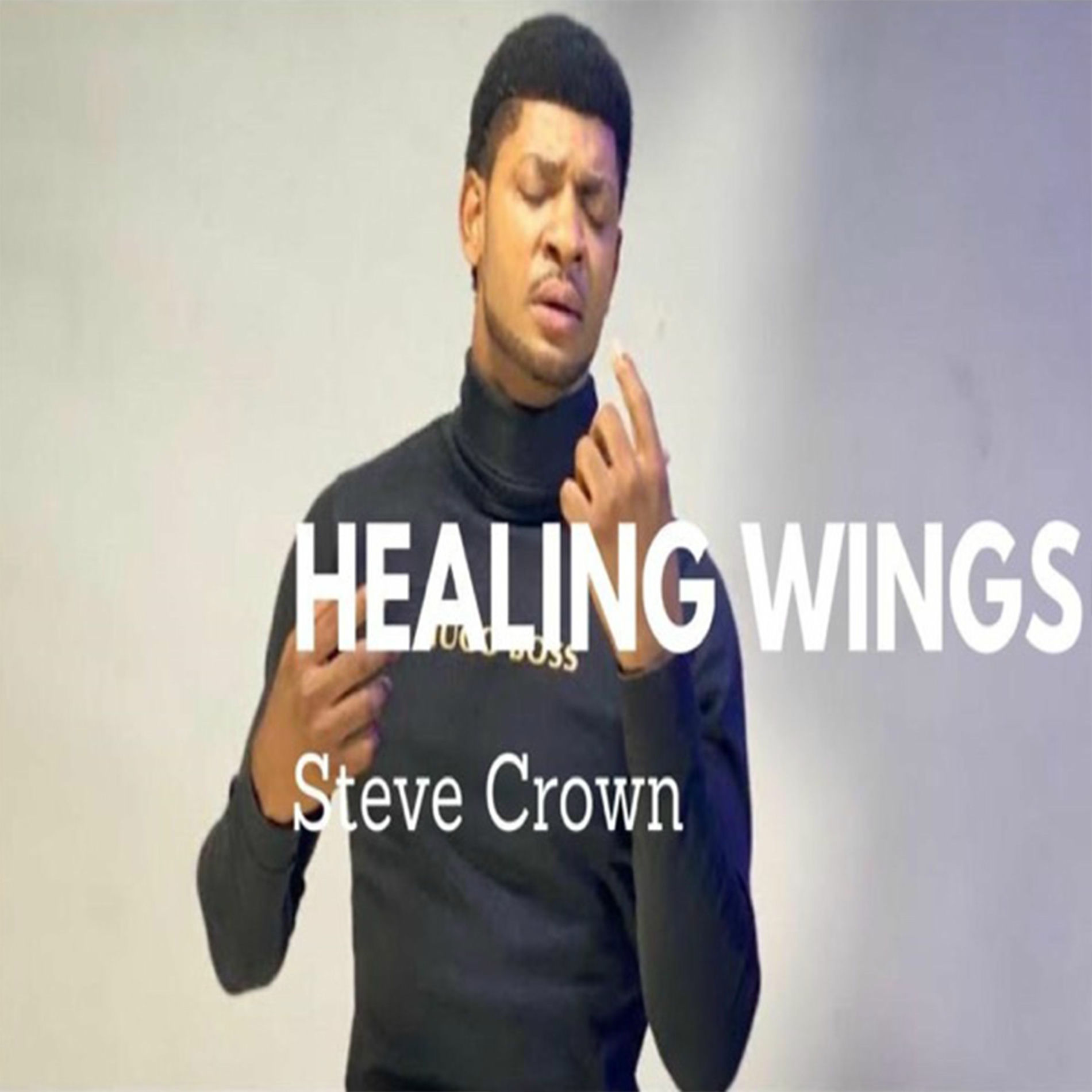 Album cover of Healing Wings