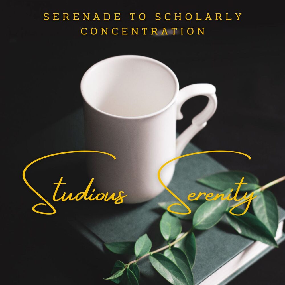 Picture of Studious Serenity: Piano Soundscapes for Focused Learning