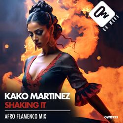 Cover of Shaking it (Afro flamenco Mix)