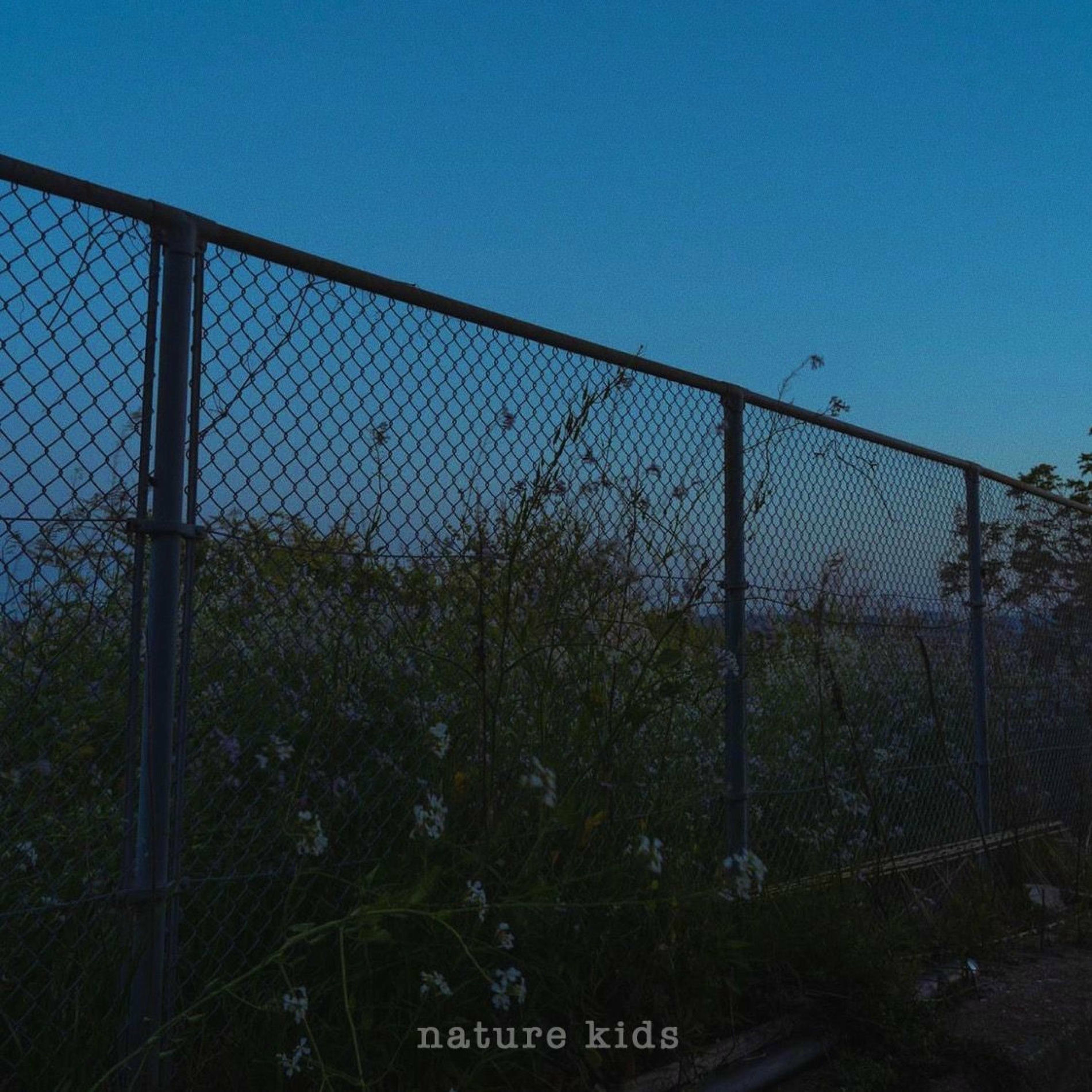 Album cover of nature kids