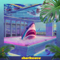 sharkwave