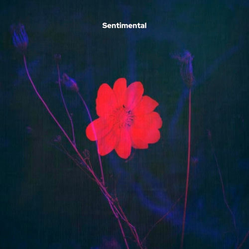 Sentimental - Panda Kpz