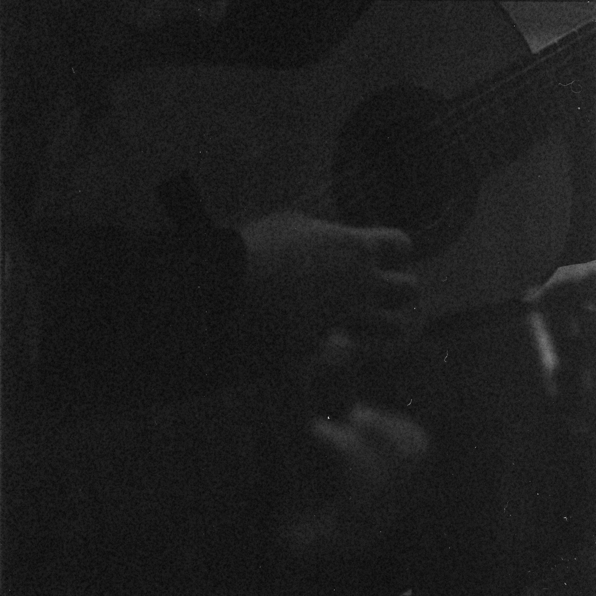 Album cover of Flourish