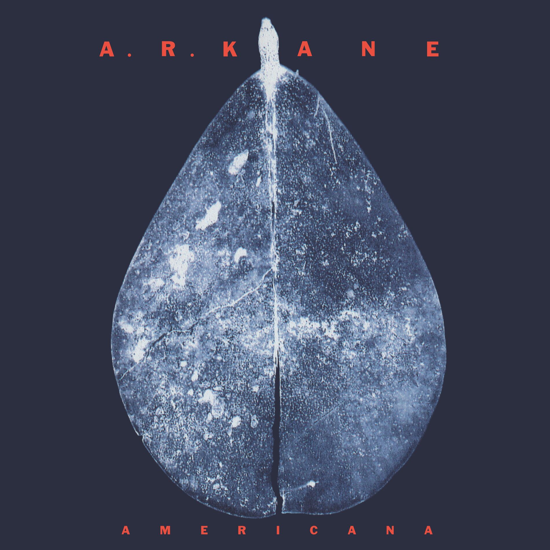 Album cover of Americana
