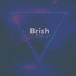Cover of Brish