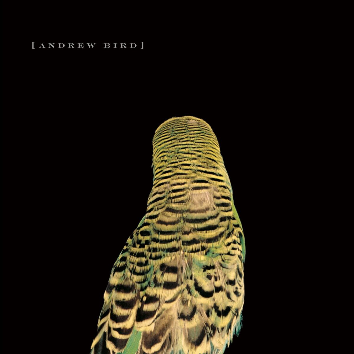 Album cover of Imitosis