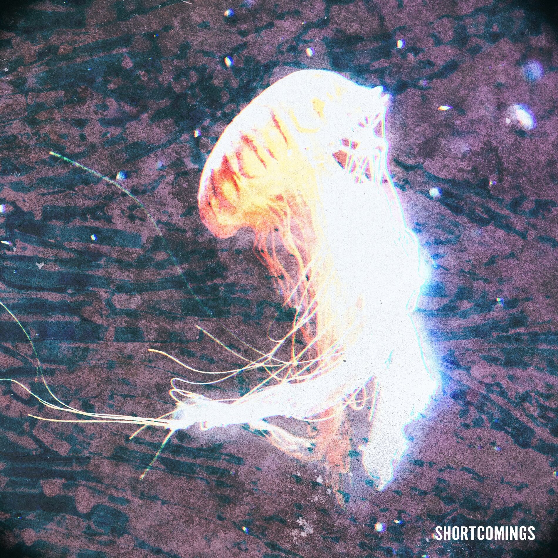 Album cover of Shortcomings