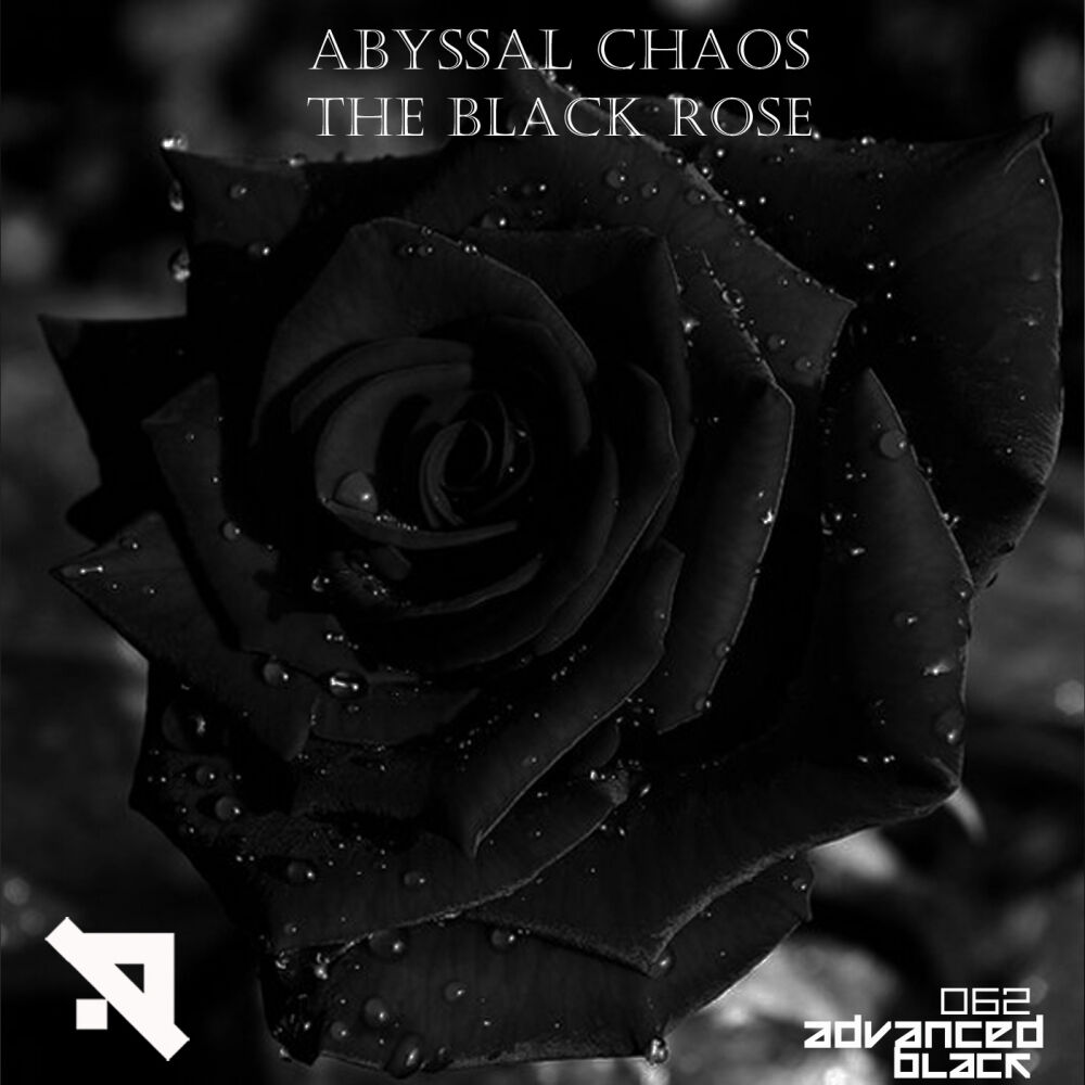 Picture of The Black Rose