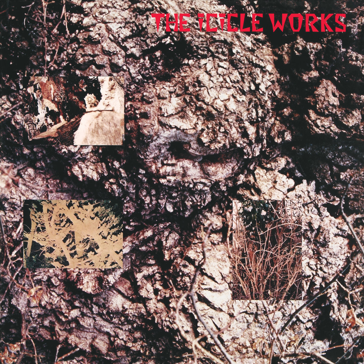 Album picture of The Icicle Works (De-luxe)