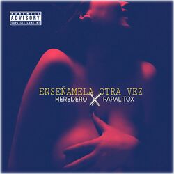 Cover of ENSEÑAMELA OTRA VEZ