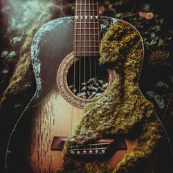 Cover of Forest of dreams