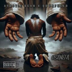 Cover of Usaneta (feat. Apostle Sean)