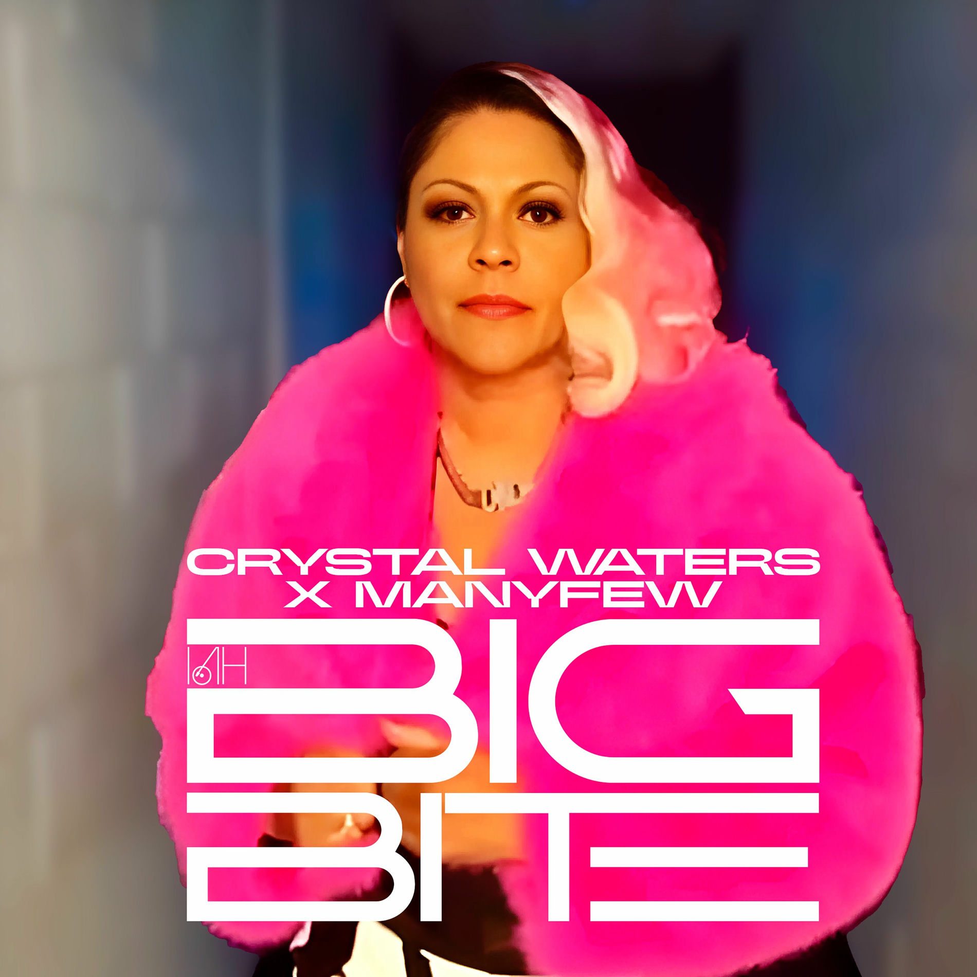 Album cover of Big Bite