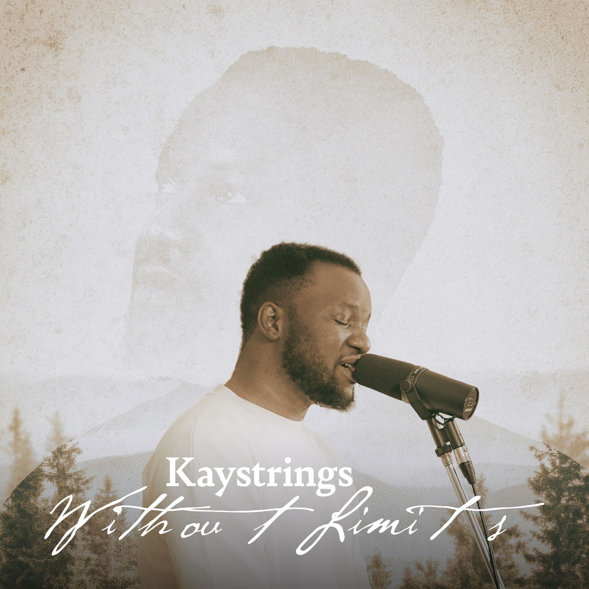 Album cover of Without Limits