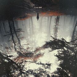 Cover of Team Six