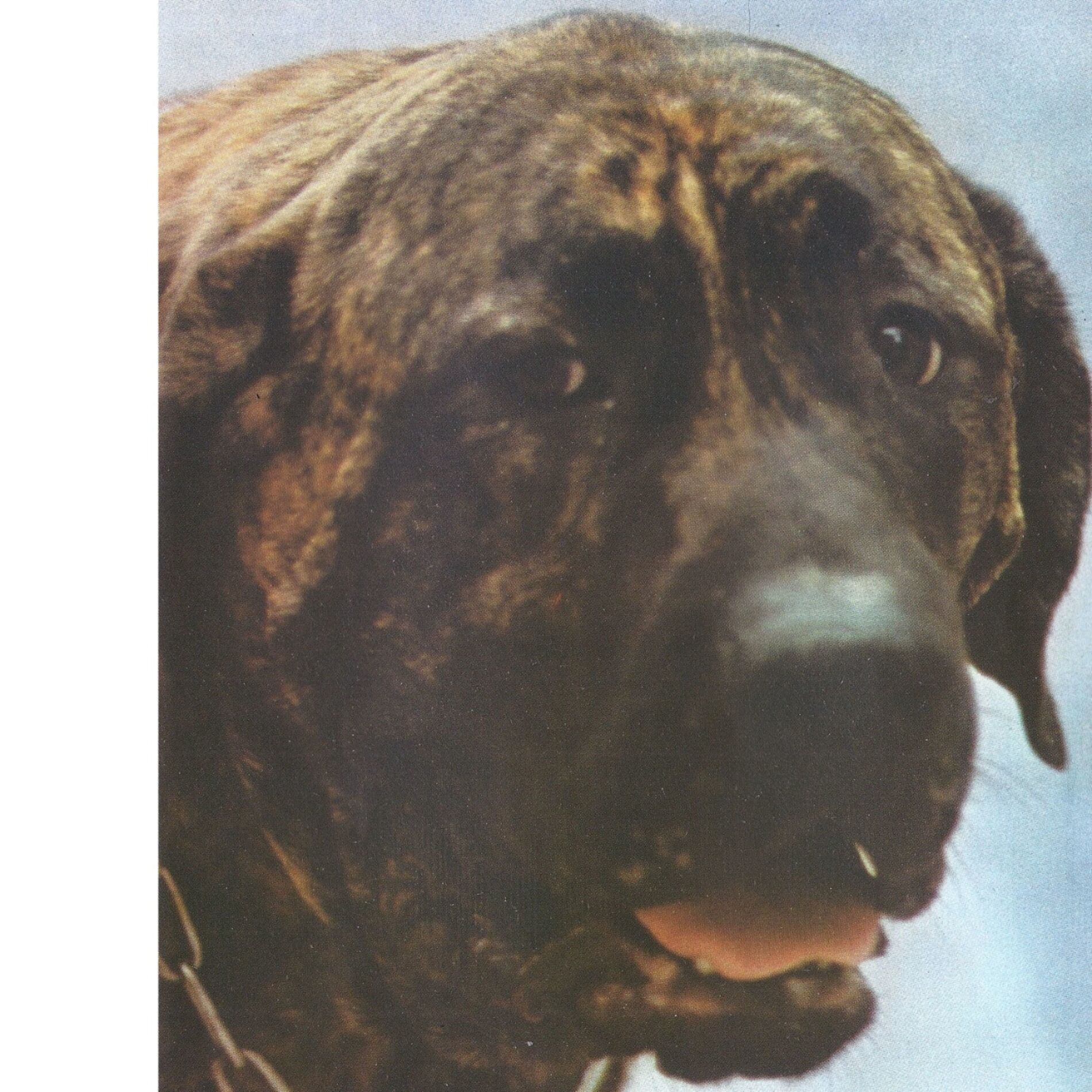 Album cover of Espírito Livre