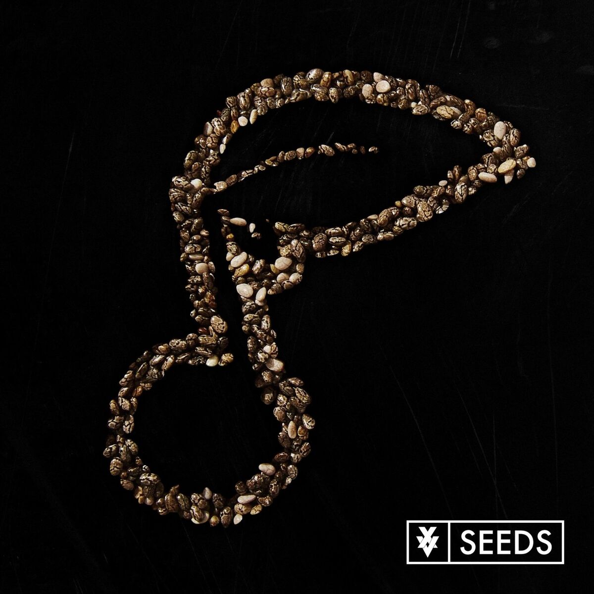 Album cover of Seeds