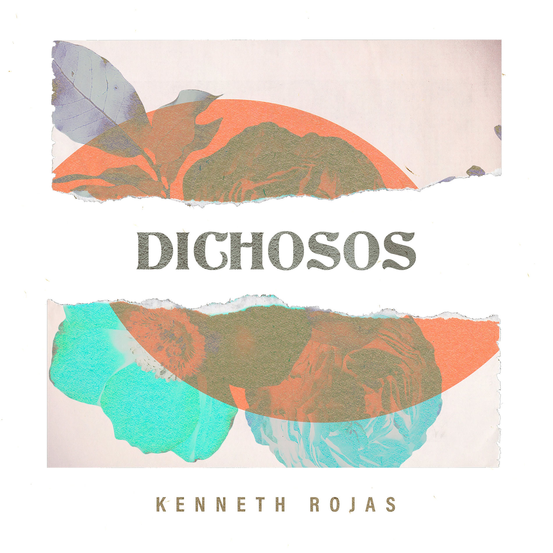 Album cover of Dichosos