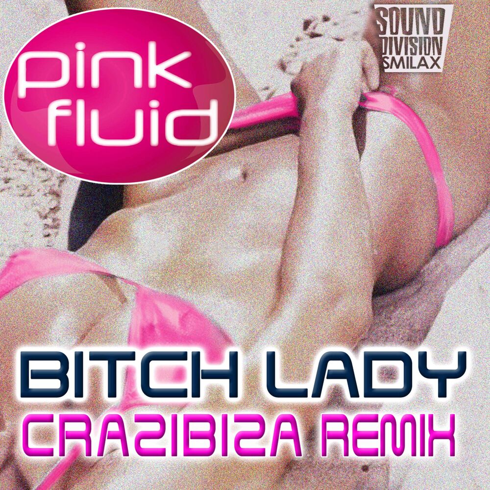 Picture of Bitch Lady Remix (Single)