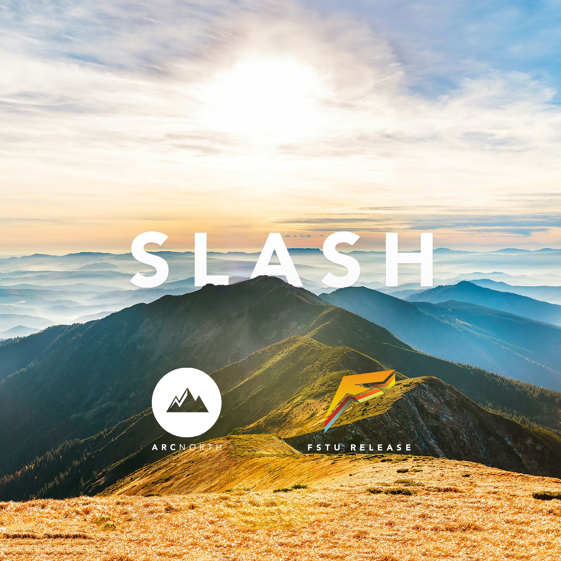 Album cover of Slash