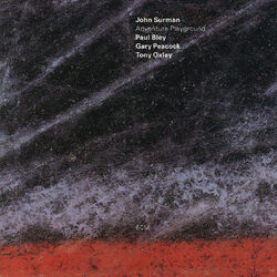 Cover of Adventure Playground