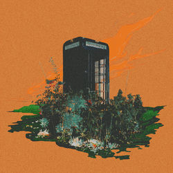 Pochette album