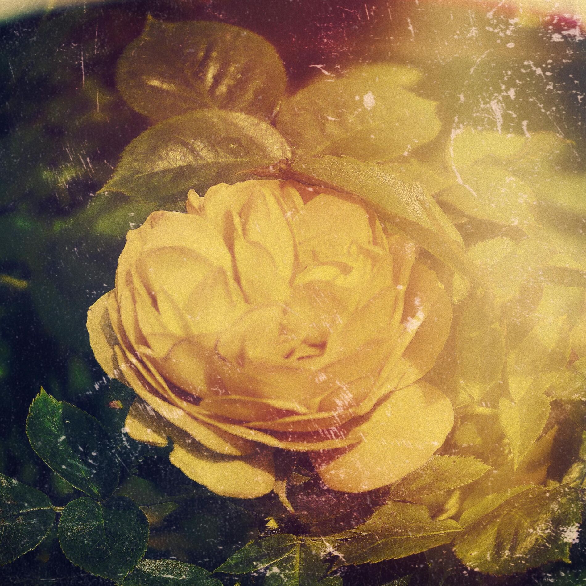 Album cover of 30 Day Boost: Limitless Bravery
