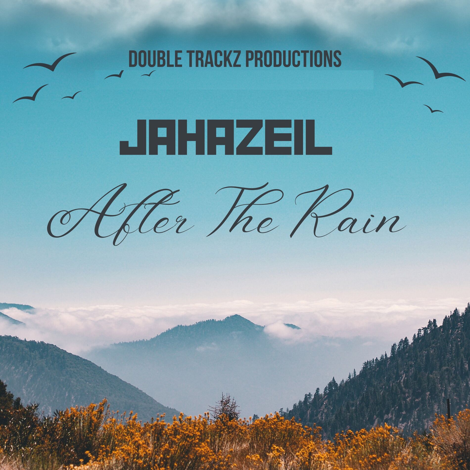 Album cover of After the Rain