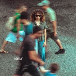 Cover of Immobile