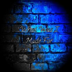 Cover of What Was I Made For