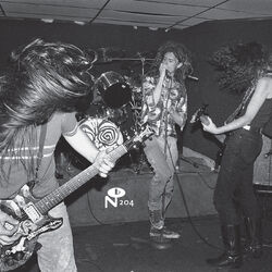Cover of It Came from N.Y.C.