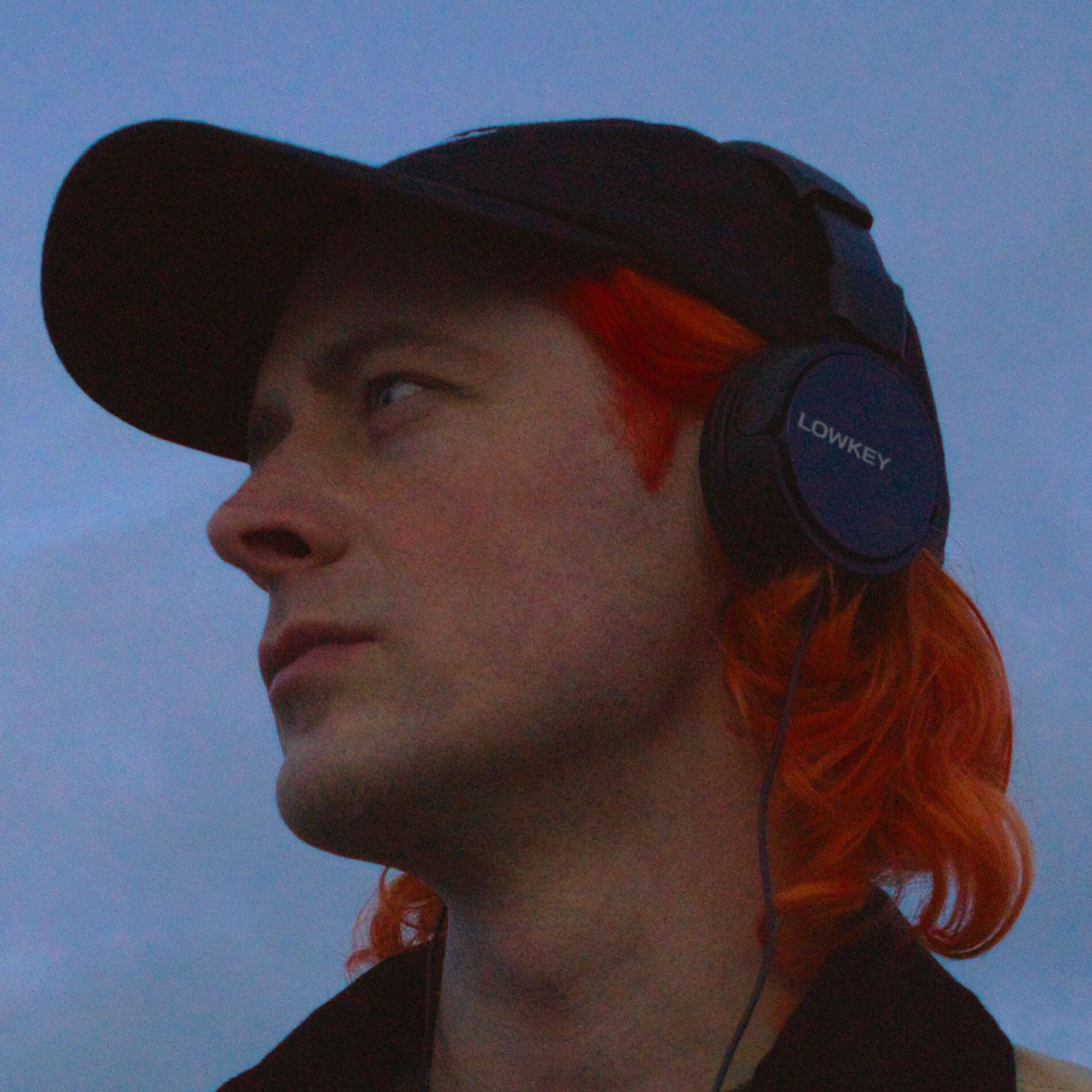 Album cover of Lowkey