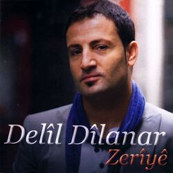 Cover of Zerîyê