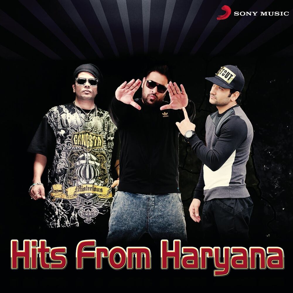 Picture of Hits from Haryana