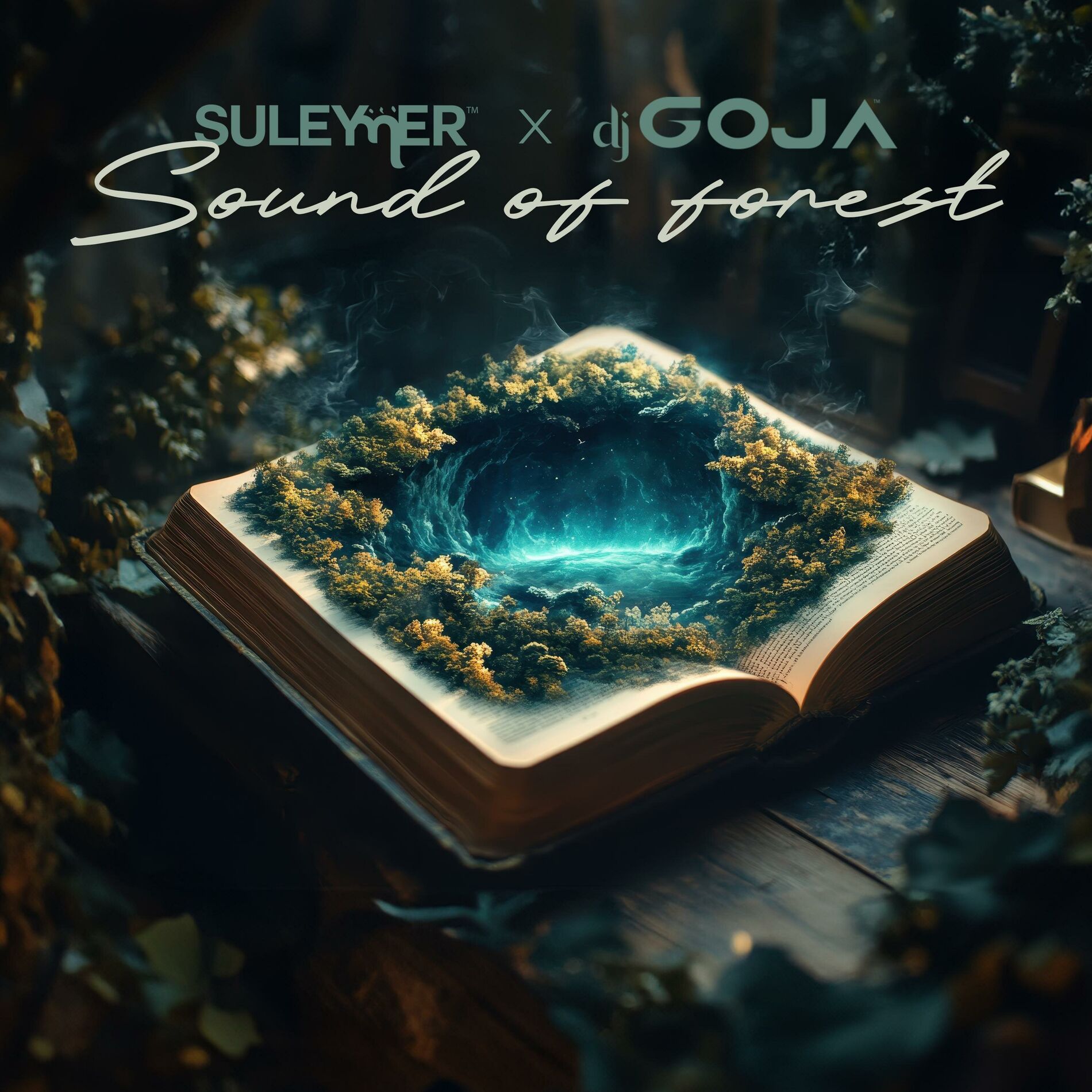 Album cover of Sound Of Forest
