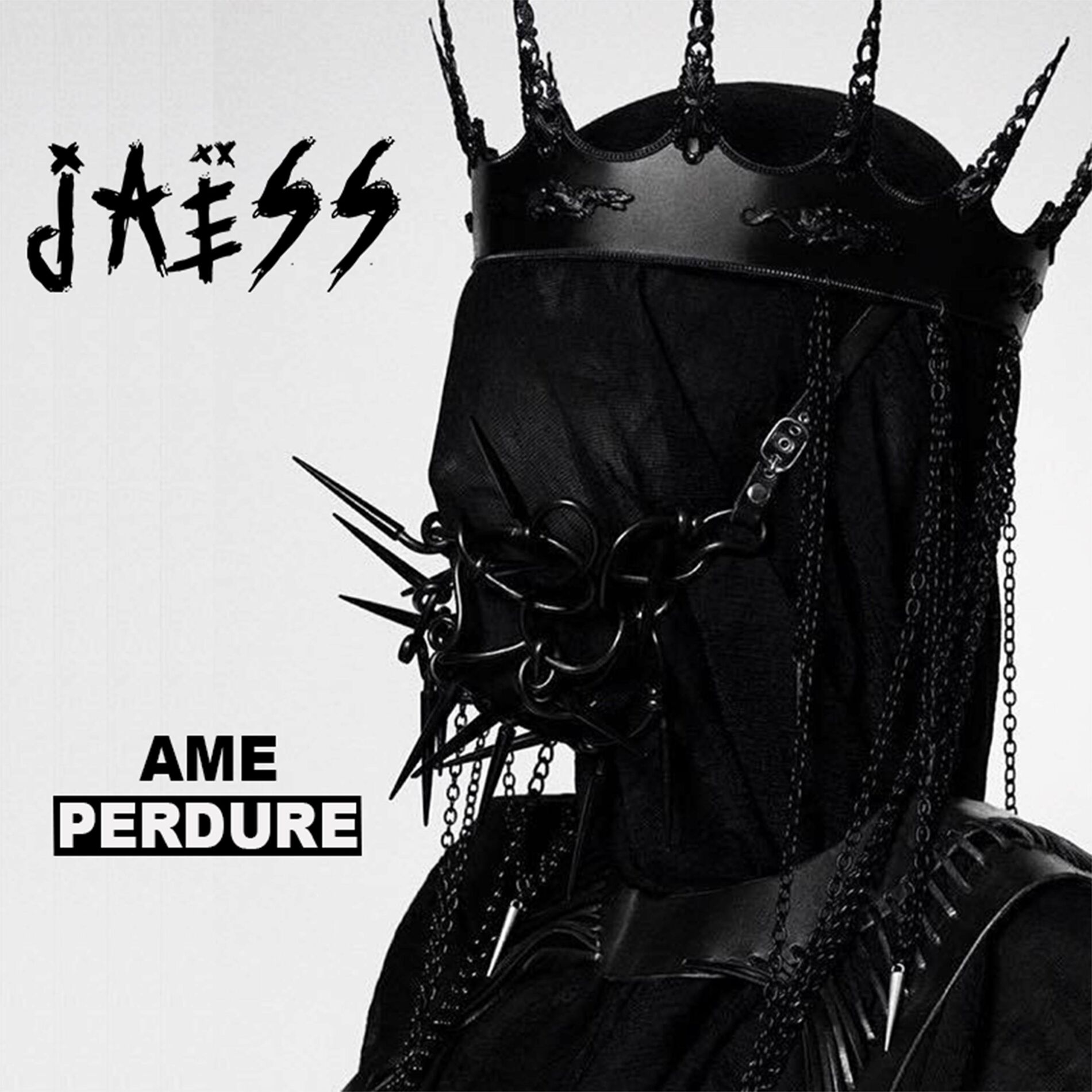Album cover of Ame perdure