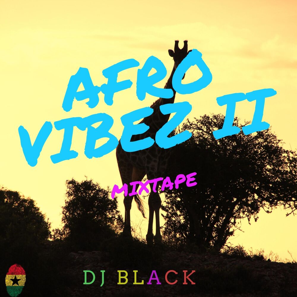 Picture of Afrovibez II