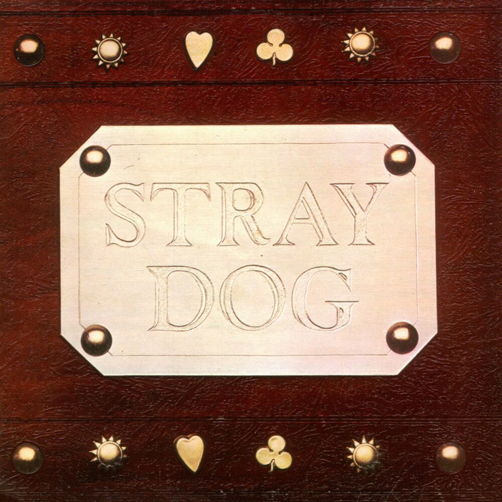 Picture of Stray Dog