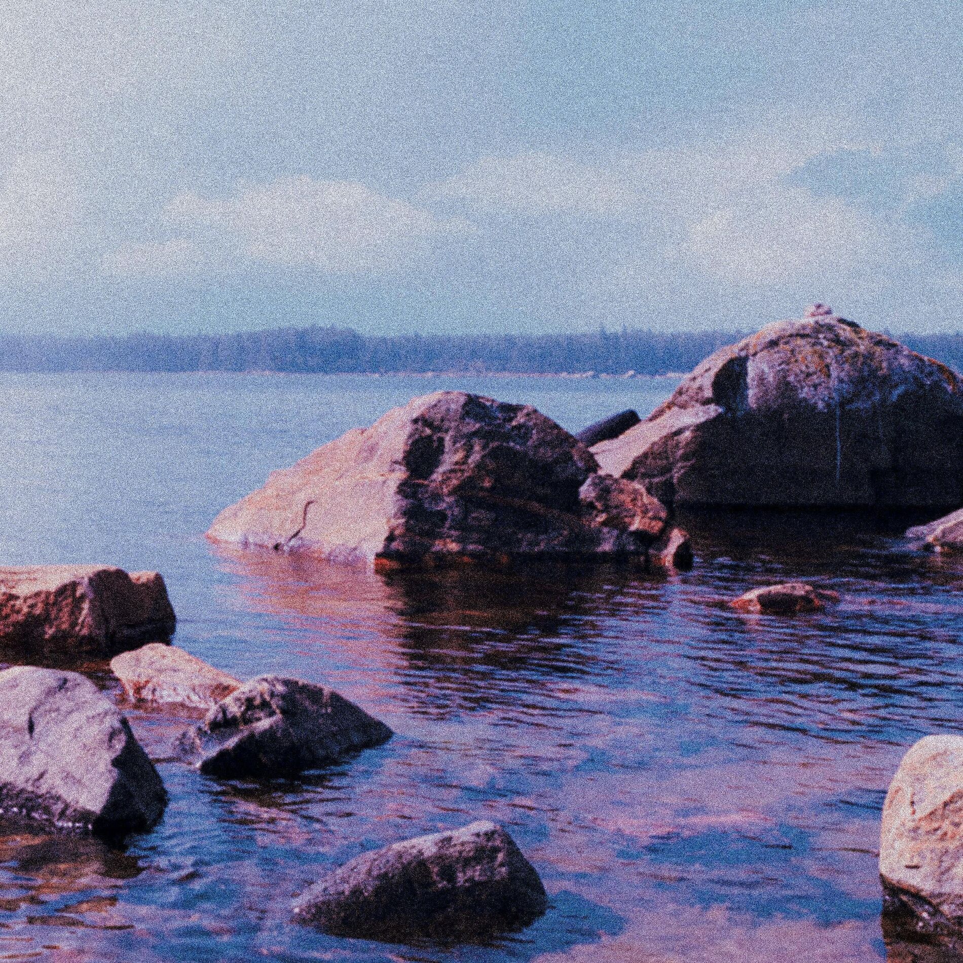 Album cover of Şarap Ve Seks
