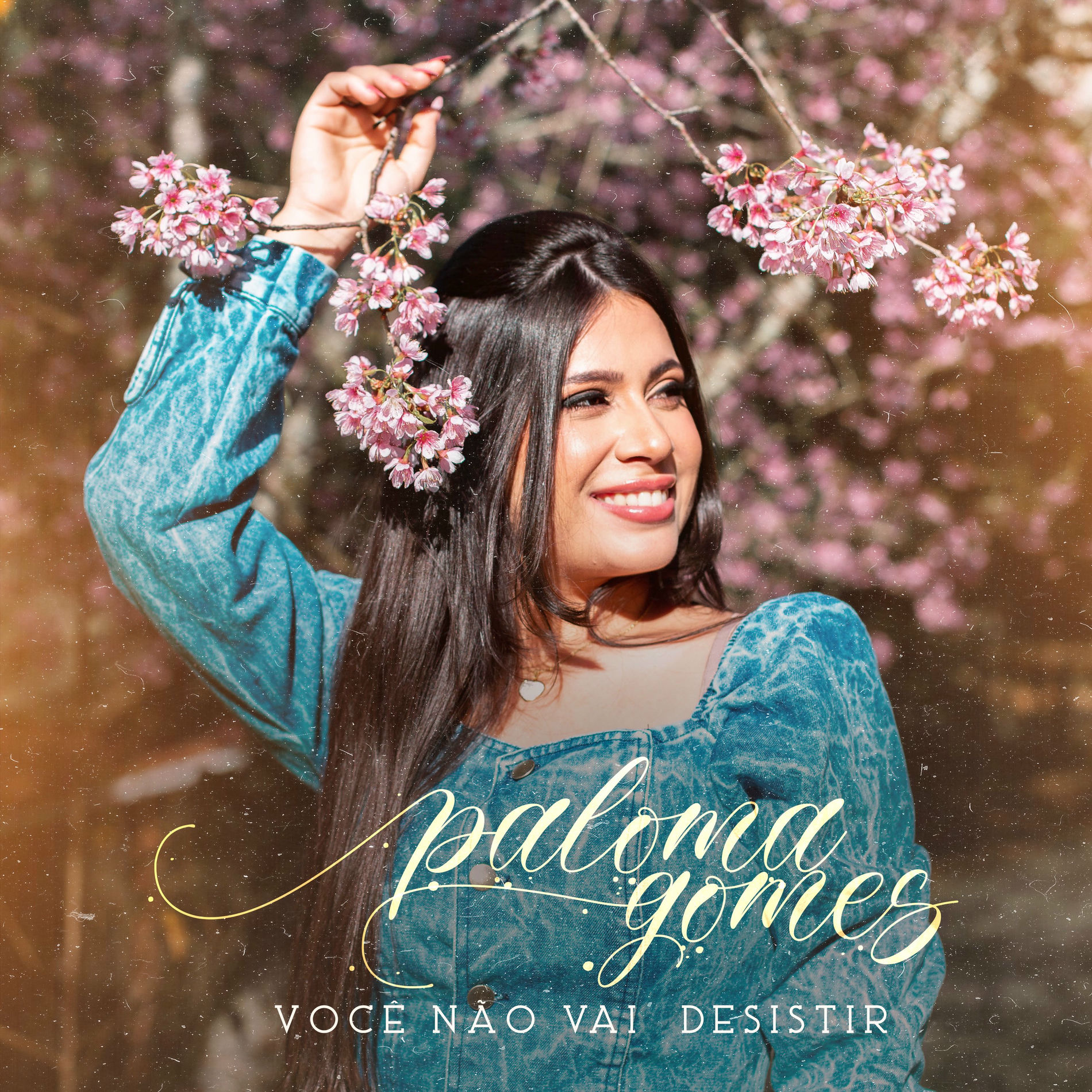 Album cover of Você Não Vai Desistir