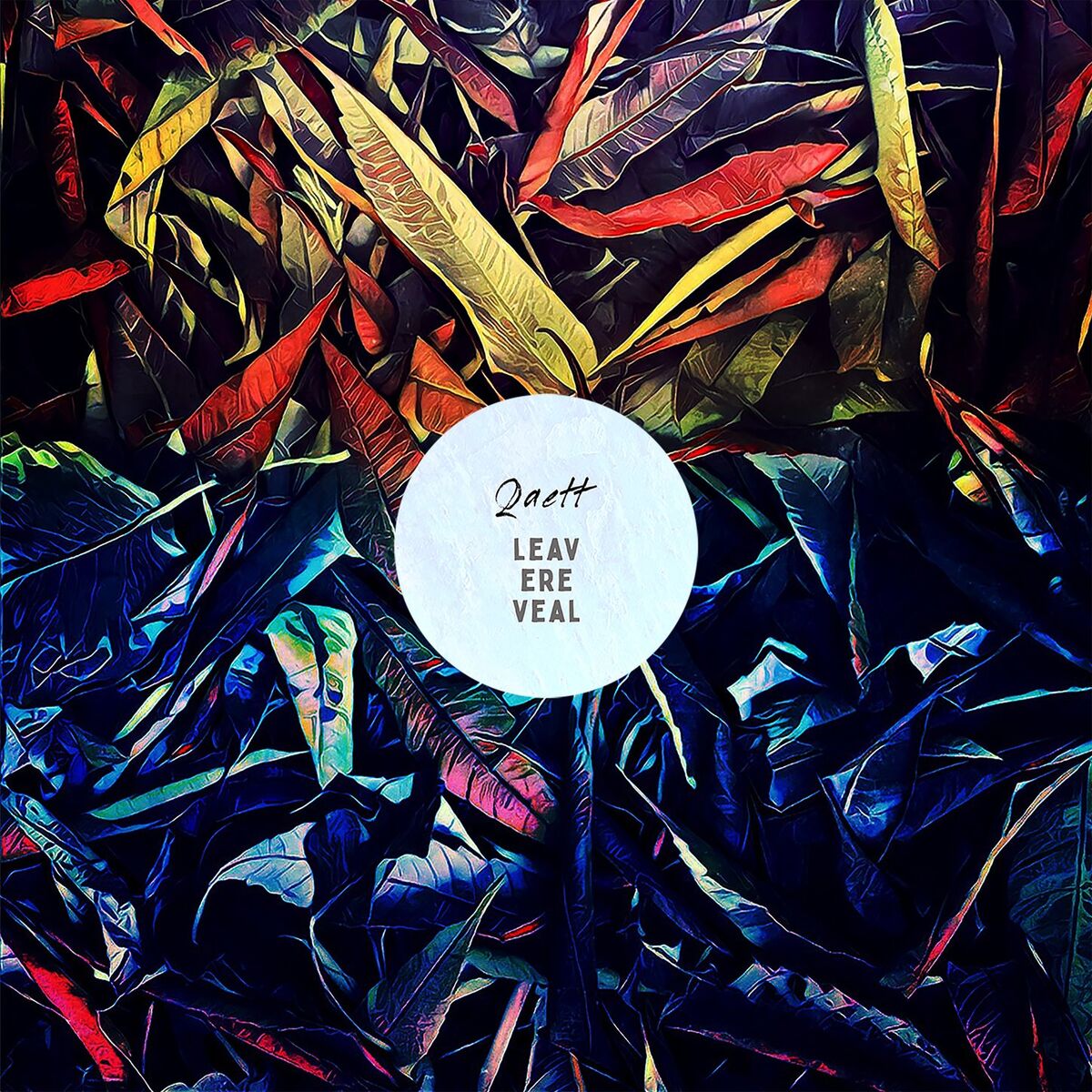 Album cover of Leavereveal