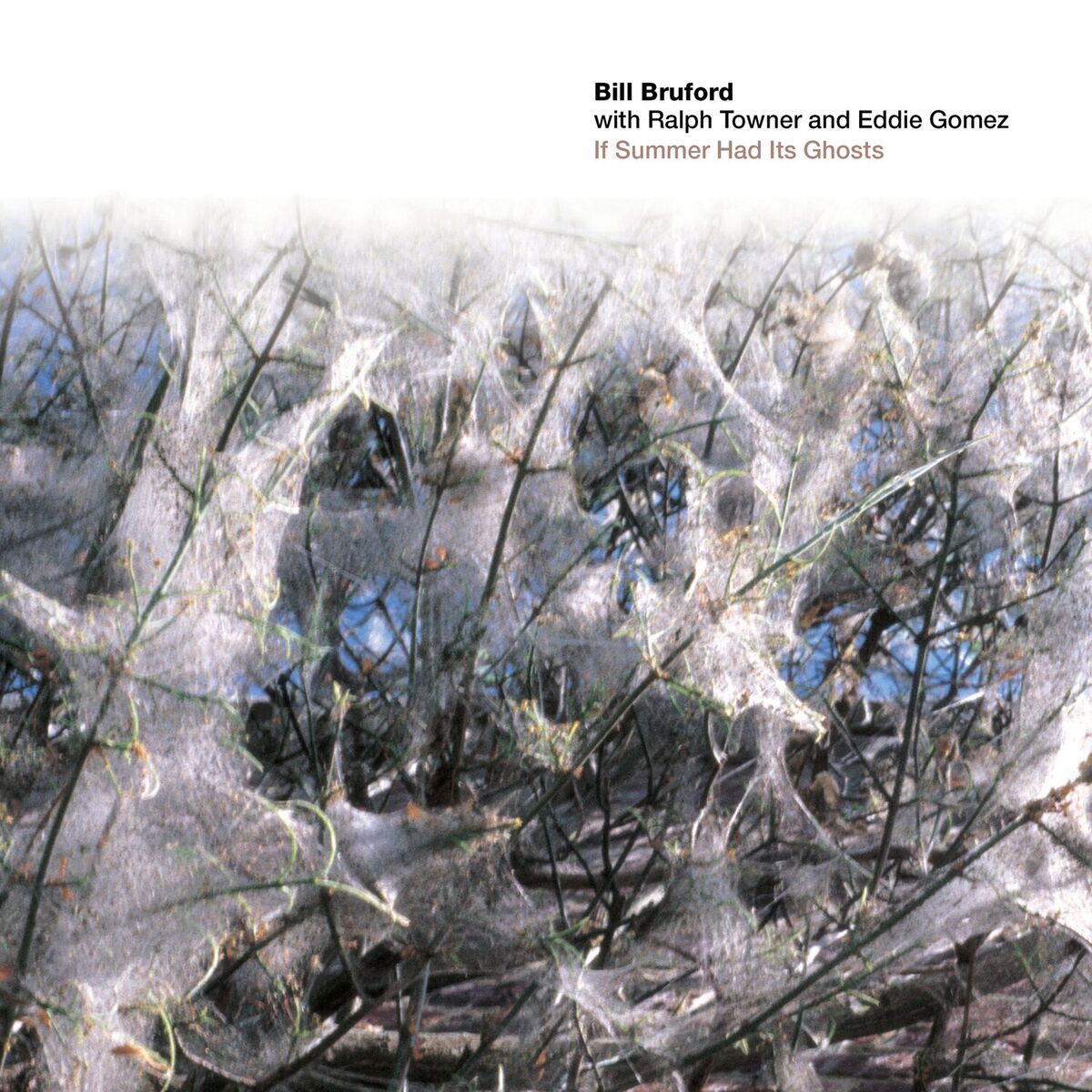 Album cover of If Summer Had Its Ghosts