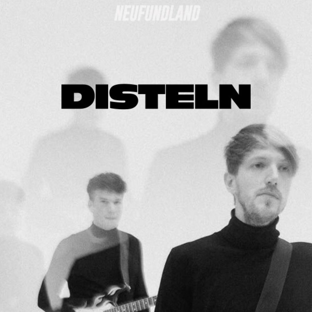 Picture of Disteln