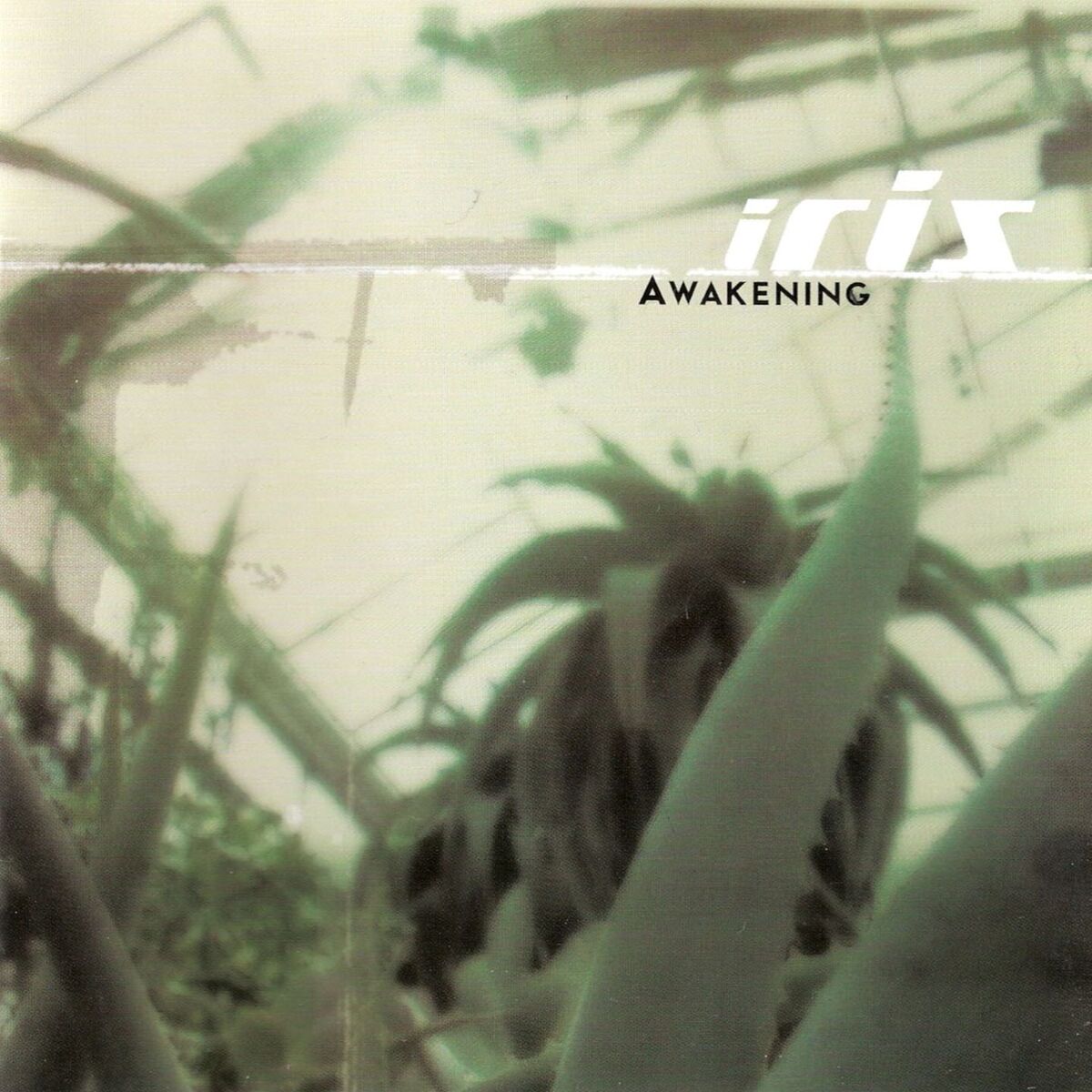 Album cover of Awakening
