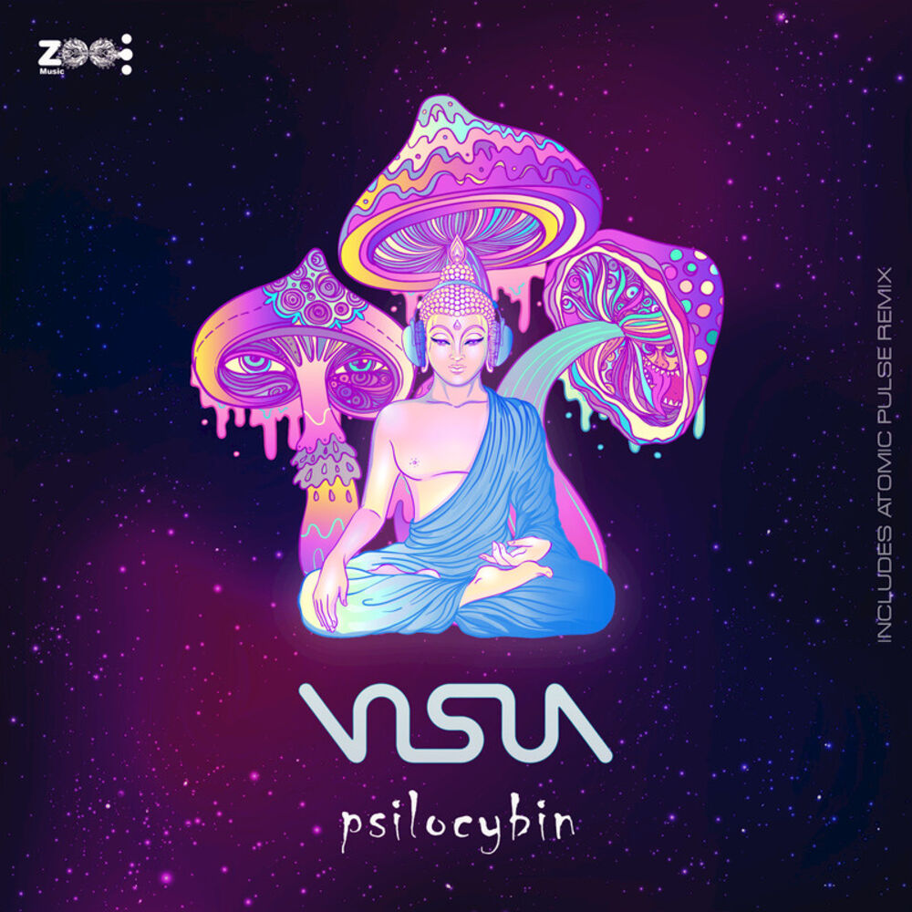 Picture of Psilocybin Chapter II