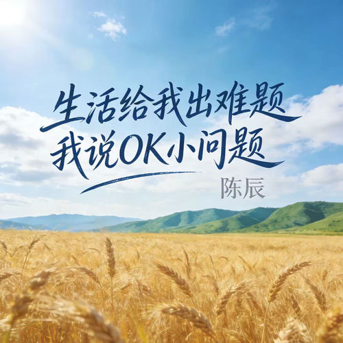 生活给我出难题我说OK小问题