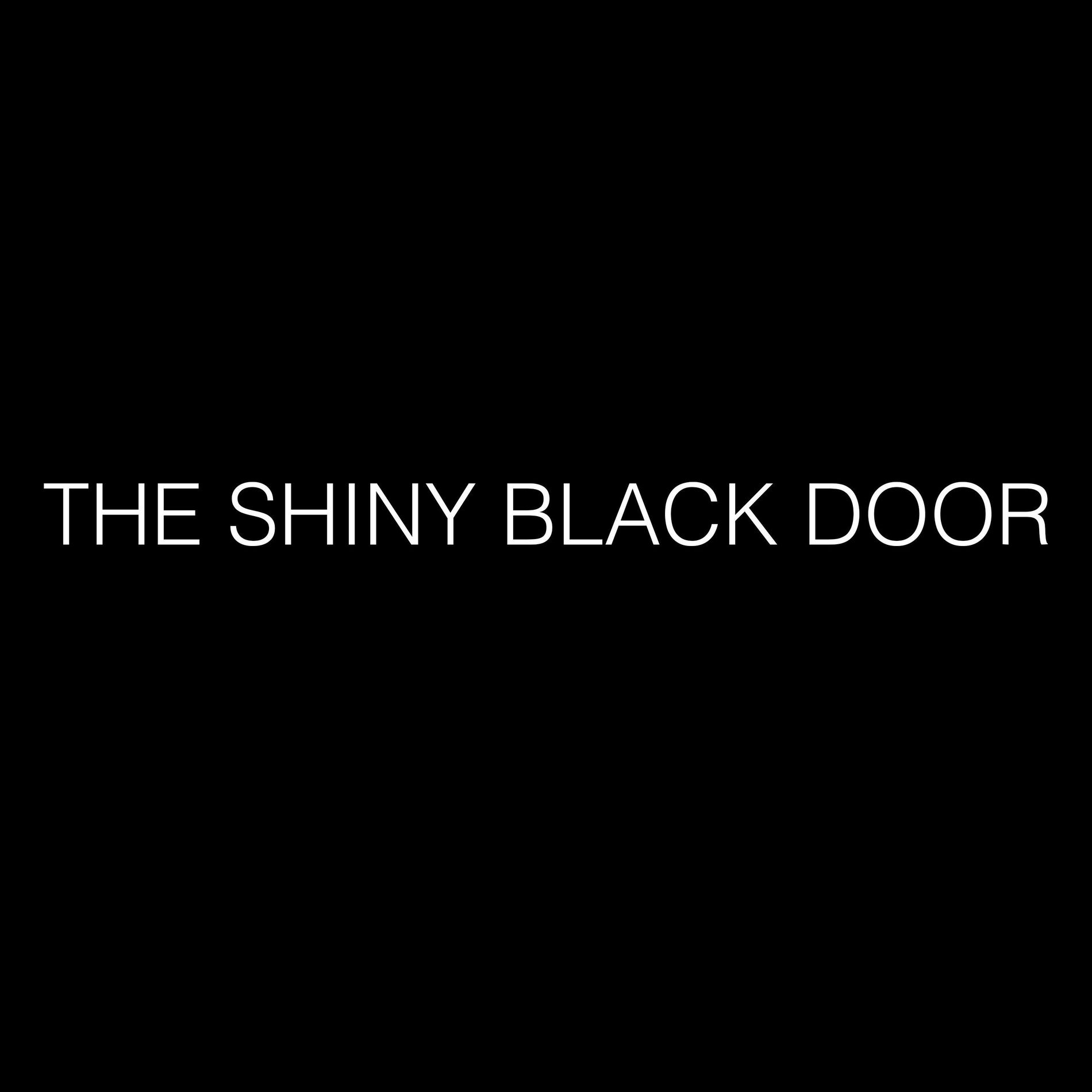 Album cover of The Shiny Black Door