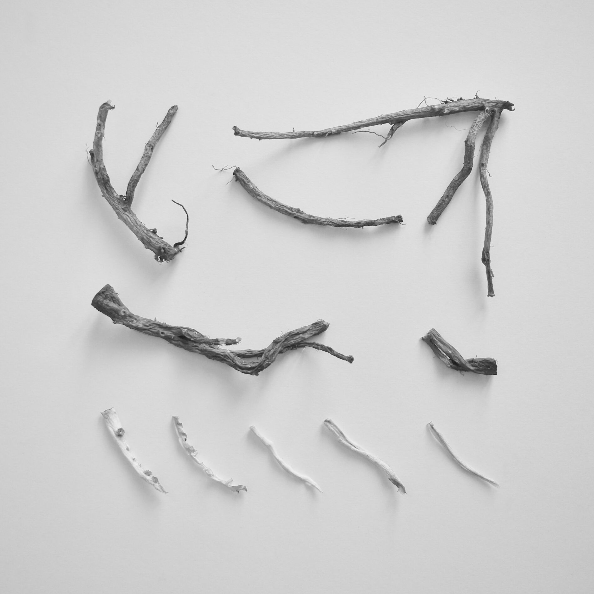 Album cover of These Charms May Be Sung Over A Wound