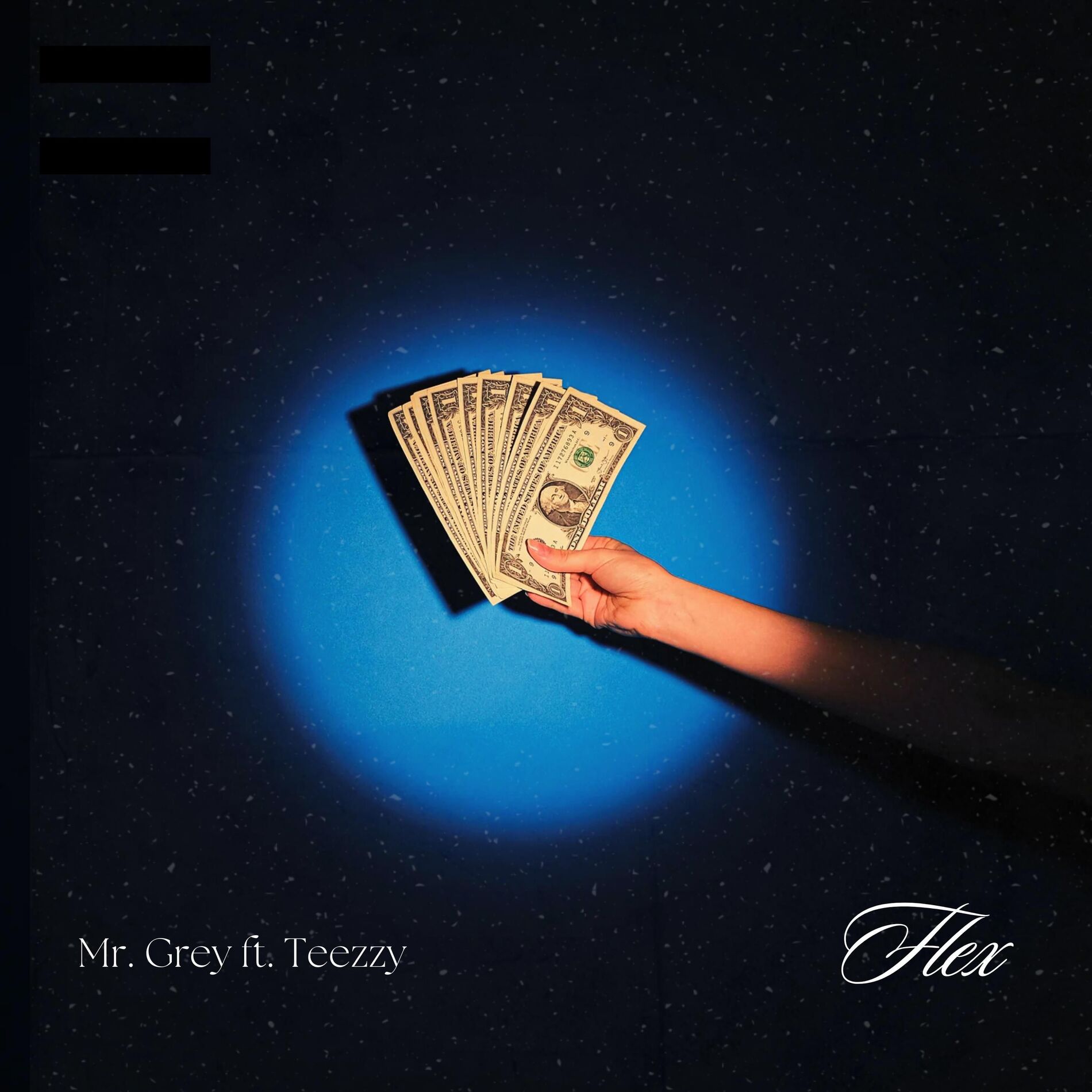 Album cover of Flex (feat. Teezzy)