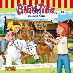 Cover of Folge 89: Wildgänse-Alarm